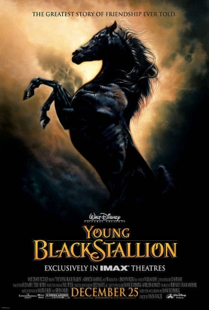 Young Black Stallion izle